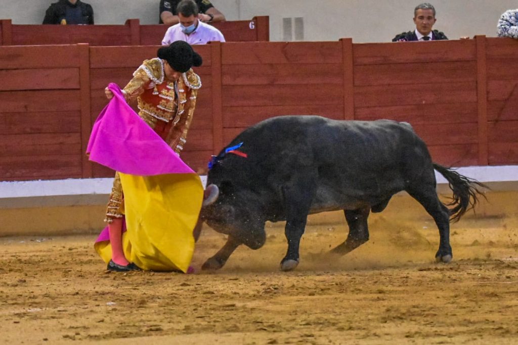 10 Javier Cortes 1024x683 - ¡Volvieron los toros a Alcalá!