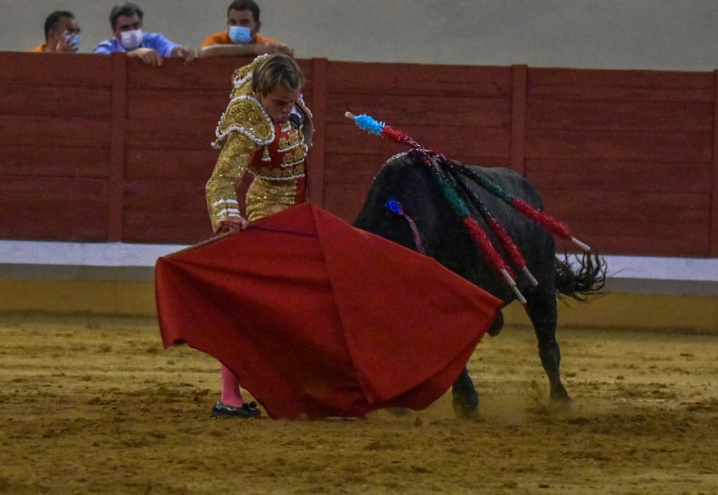 11 Javier Cortes 1024x706 - ¡Volvieron los toros a Alcalá!
