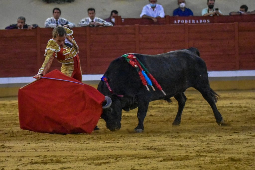 12 Javier Cortes 1024x682 - ¡Volvieron los toros a Alcalá!