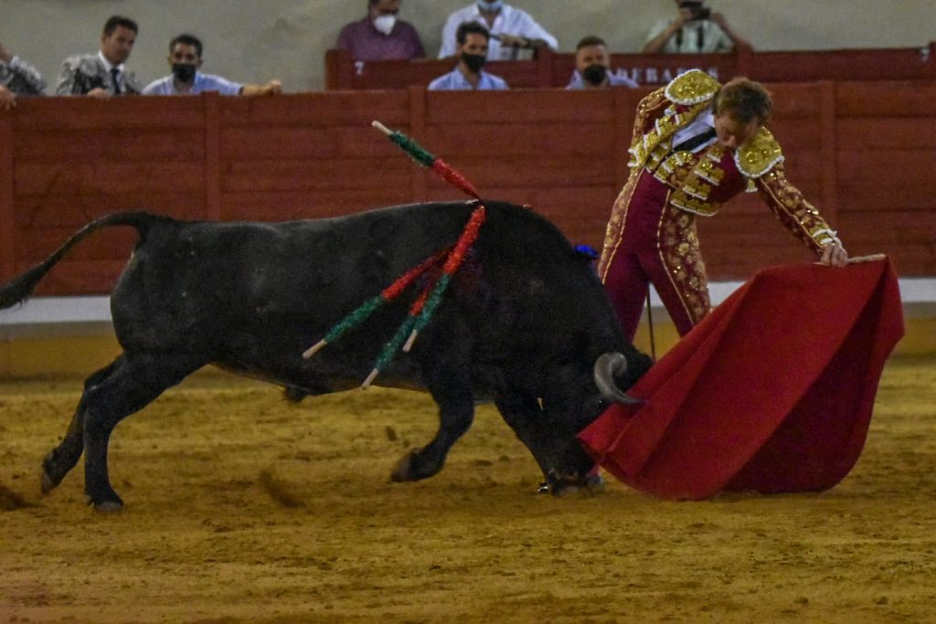 16 Roman 1024x683 - ¡Volvieron los toros a Alcalá!