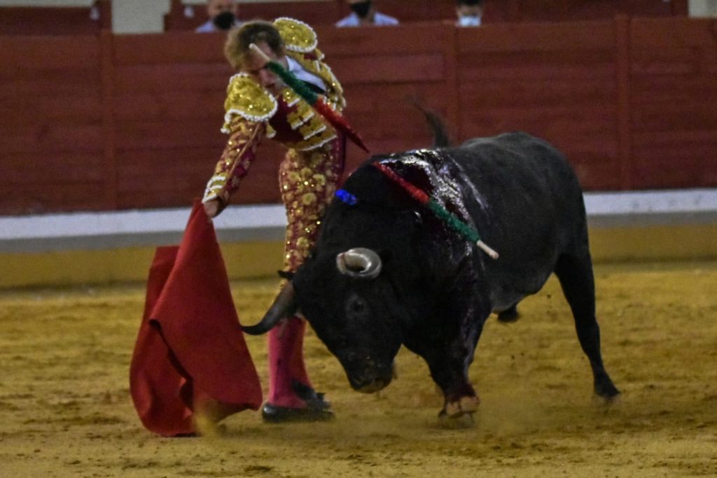 18 Roman 1024x683 - ¡Volvieron los toros a Alcalá!