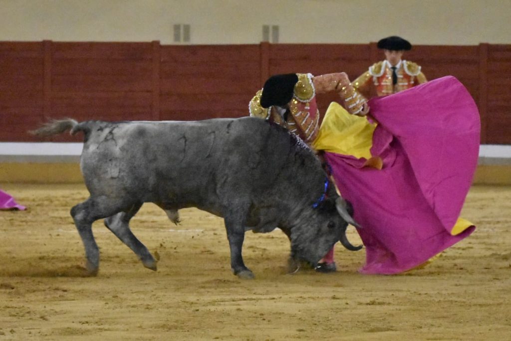 20 Rafaelillo 1024x683 - ¡Volvieron los toros a Alcalá!