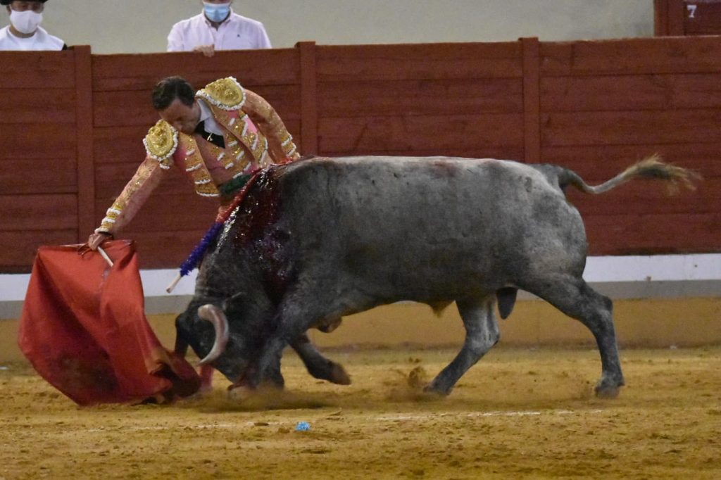 22 Rafaelillo 1024x682 - ¡Volvieron los toros a Alcalá!