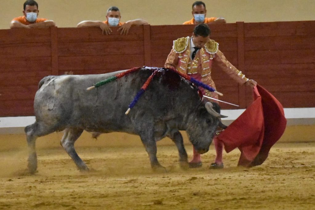 23 Rafaelillo 1024x683 - ¡Volvieron los toros a Alcalá!
