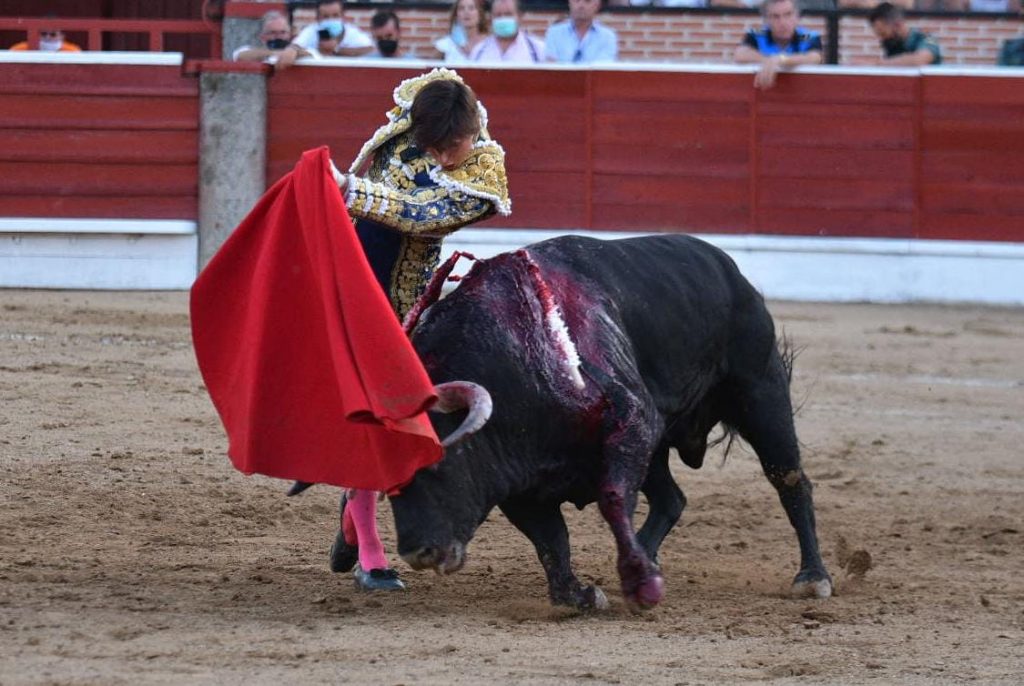 24 El Espinar Roca Rey pase de pecho 1024x686 - Roca Rey y Javier Cortés cierran la feria por todo lo alto