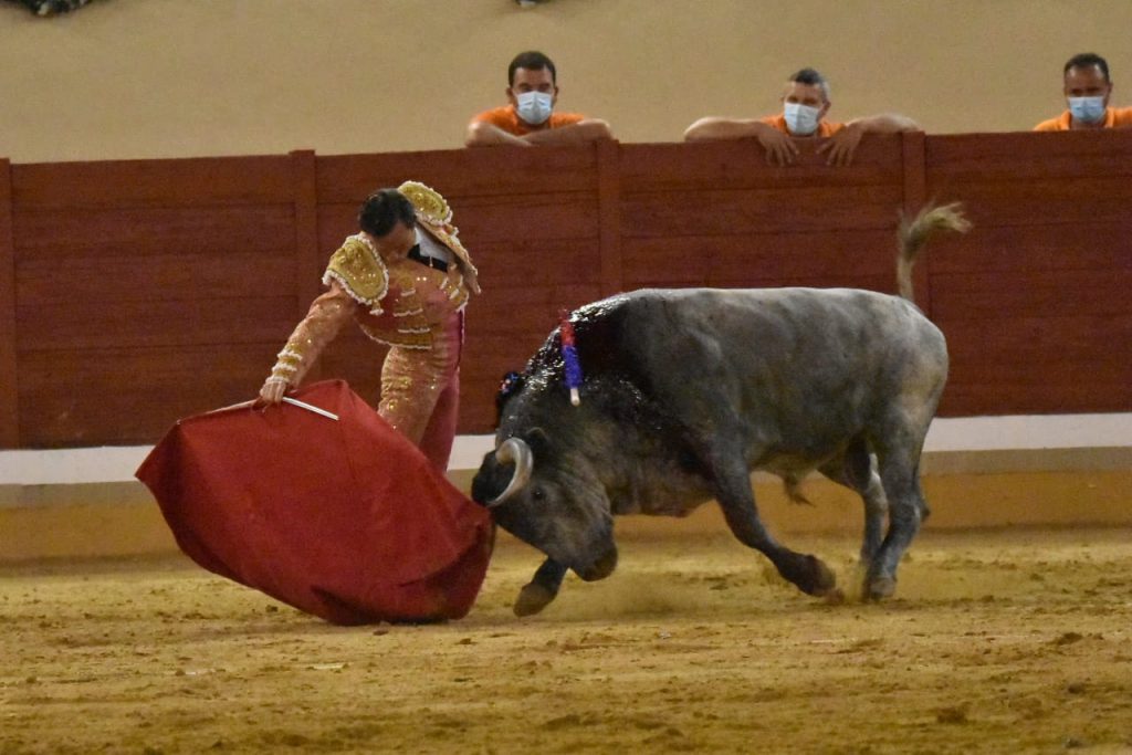 24 Rafaelillo 1024x683 - ¡Volvieron los toros a Alcalá!