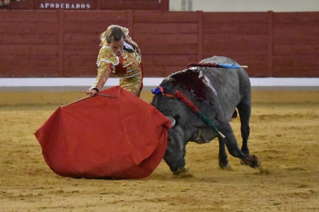 26 Javier Cortes 1024x682 - ¡Volvieron los toros a Alcalá!