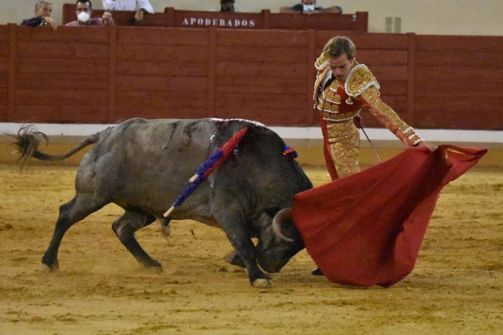 27 Javier Cortes 1024x683 - ¡Volvieron los toros a Alcalá!