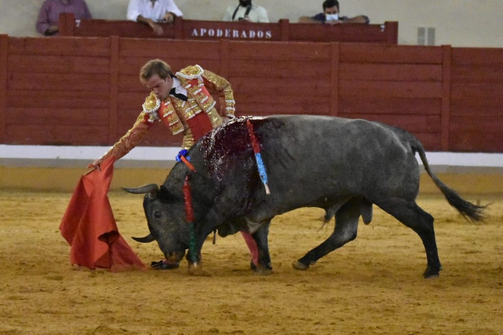 28 Javier Cortes 1024x683 - ¡Volvieron los toros a Alcalá!