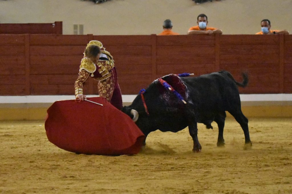 30 Roman 1024x683 - ¡Volvieron los toros a Alcalá!