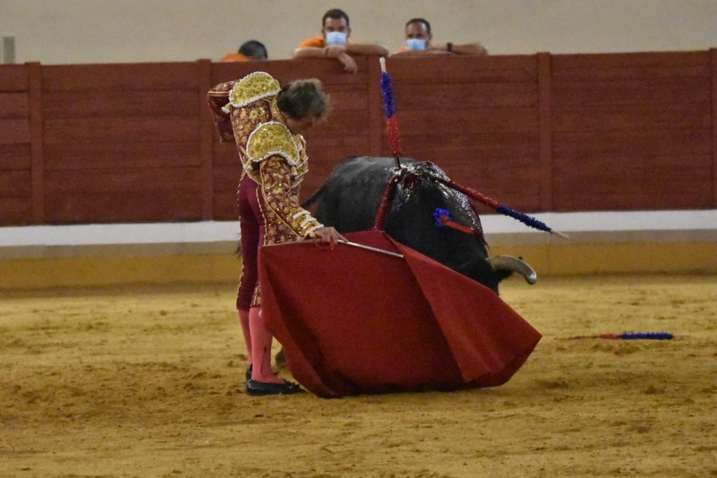 31 Roman 1024x683 - ¡Volvieron los toros a Alcalá!