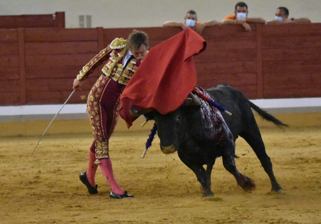 32 Roman 1024x715 - ¡Volvieron los toros a Alcalá!