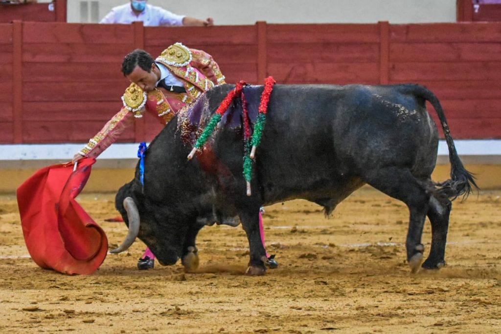 7 Rafaelillo 1024x684 - ¡Volvieron los toros a Alcalá!