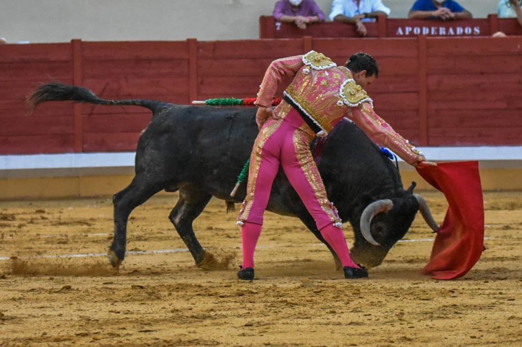 8 Rafaelillo 1024x682 - ¡Volvieron los toros a Alcalá!