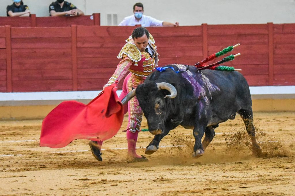 9 Rafaelillo 1024x683 - ¡Volvieron los toros a Alcalá!