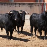 Banuelos 2 150x150 - ¡Volvieron los toros a Alcalá!