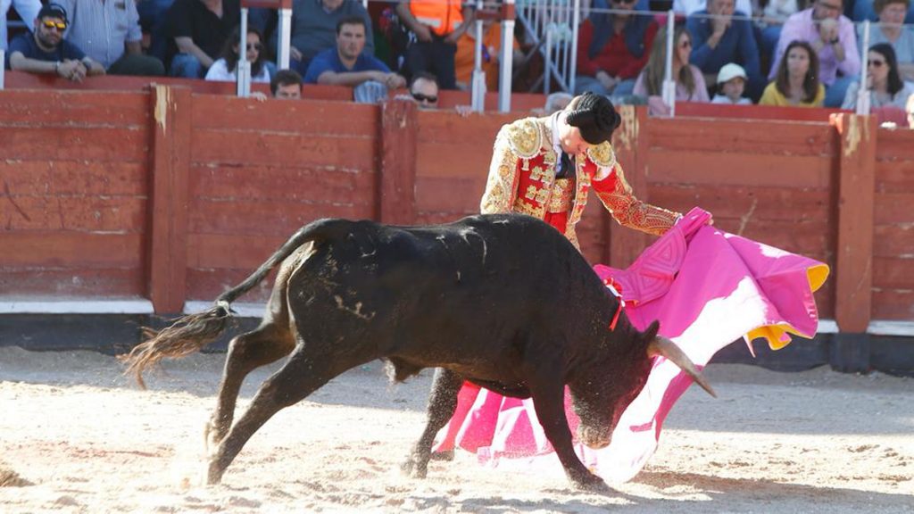 10 Olivas lance 1024x576 - Javier Cortés y Jesús Ángel Olivas cortan un trofeo en Colmenar de Oreja