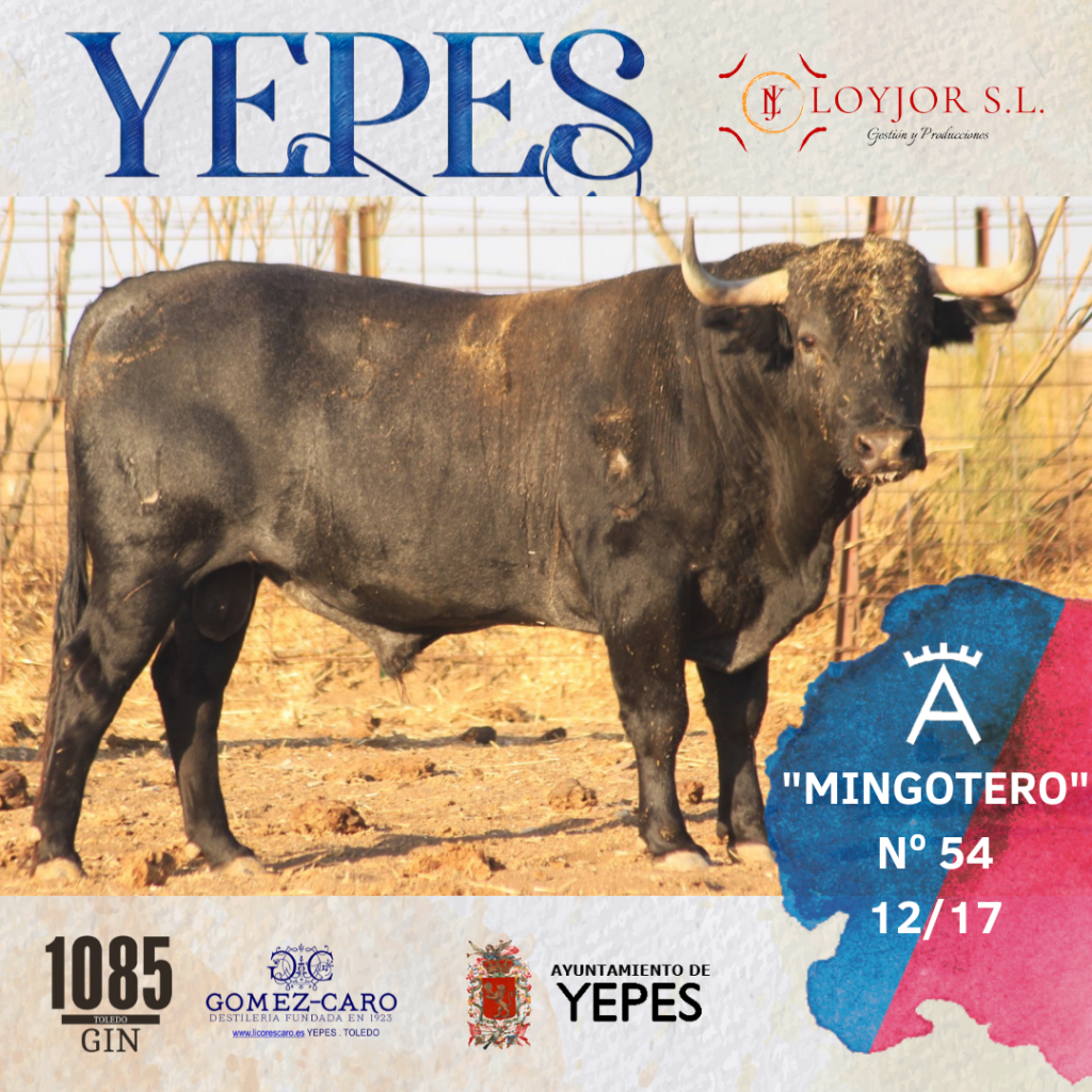3 1024x1024 - Los de Victorino Martín para Yepes