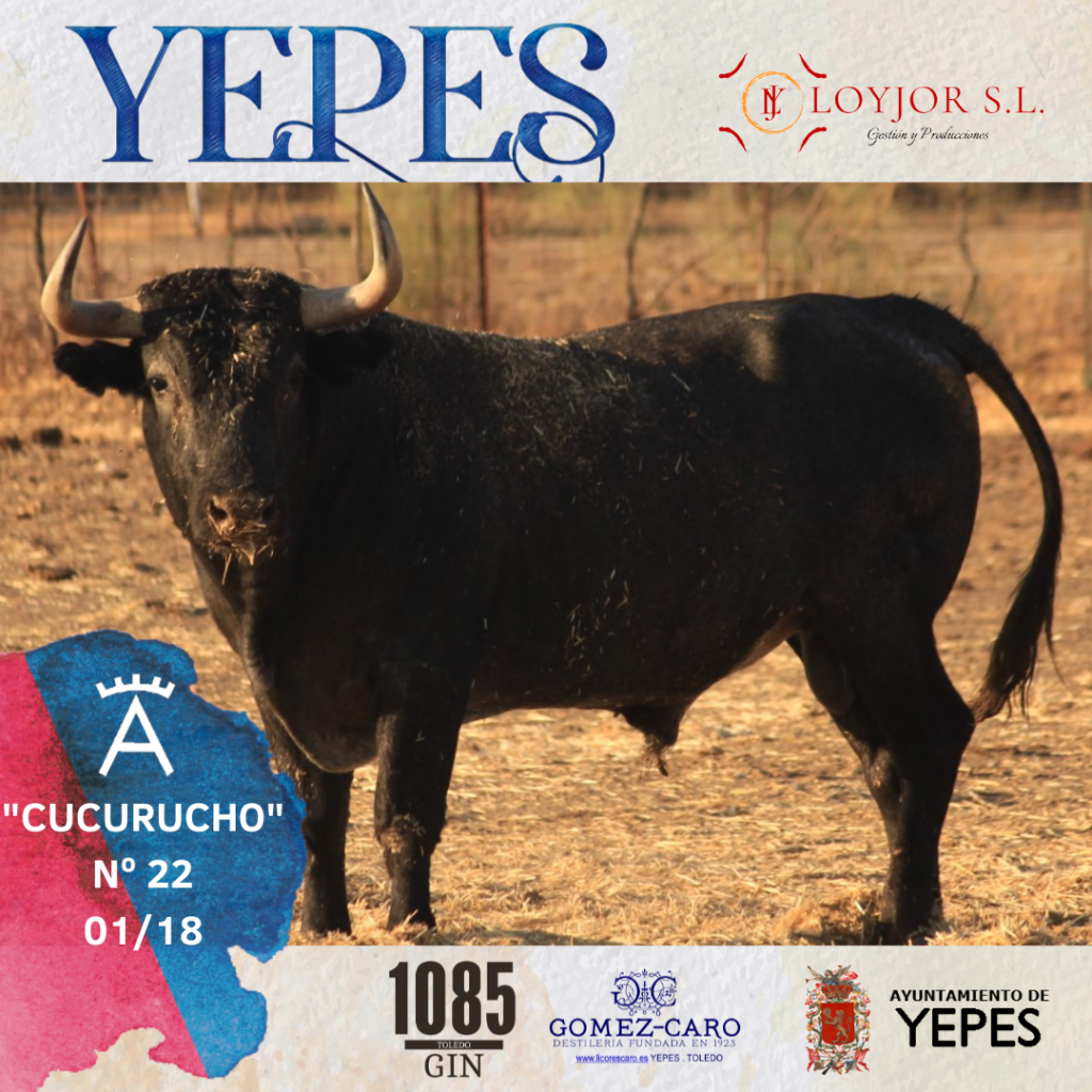 6 1024x1024 - Los de Victorino Martín para Yepes
