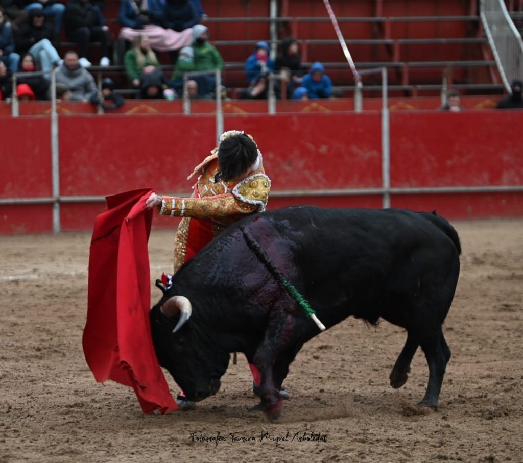 Ajalvir15 1024x907 - Tristán Barroso triunfa en el regreso de los toros en Ajalvir