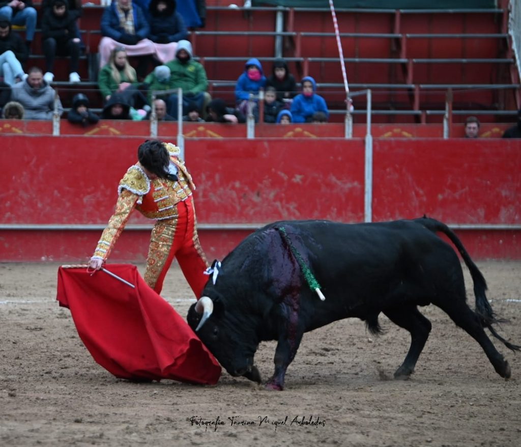 Ajalvir17 1024x878 - Tristán Barroso triunfa en el regreso de los toros en Ajalvir