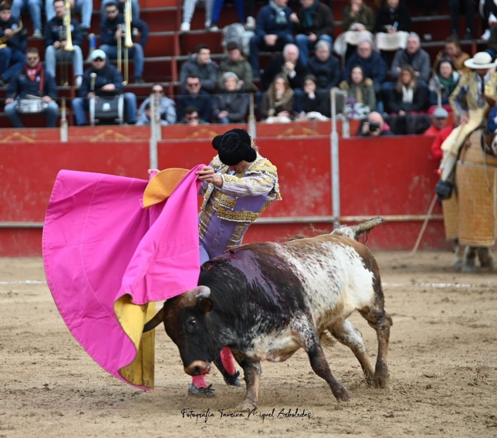 Ajalvir2 1024x902 - Tristán Barroso triunfa en el regreso de los toros en Ajalvir