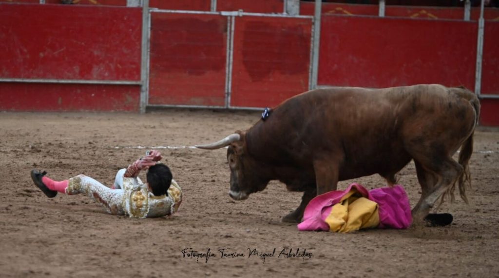 Ajalvir23 1024x570 - Tristán Barroso triunfa en el regreso de los toros en Ajalvir