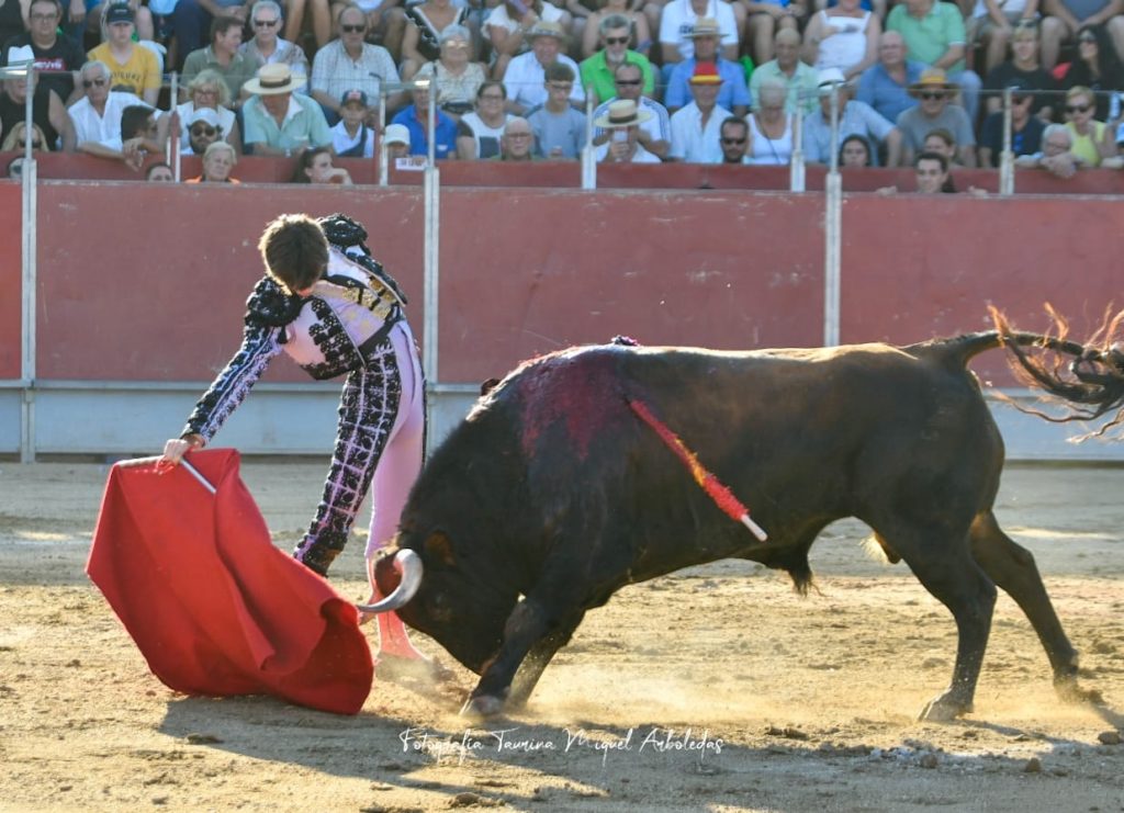 Almorox Novillada10 1024x741 - Tristán Barroso y Víctor Cerrato, doble Puerta Grande con una buena novillada de Núñez de Tarifa en Almorox