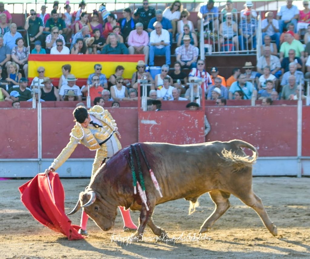 Almorox Novillada13 1024x855 - Tristán Barroso y Víctor Cerrato, doble Puerta Grande con una buena novillada de Núñez de Tarifa en Almorox