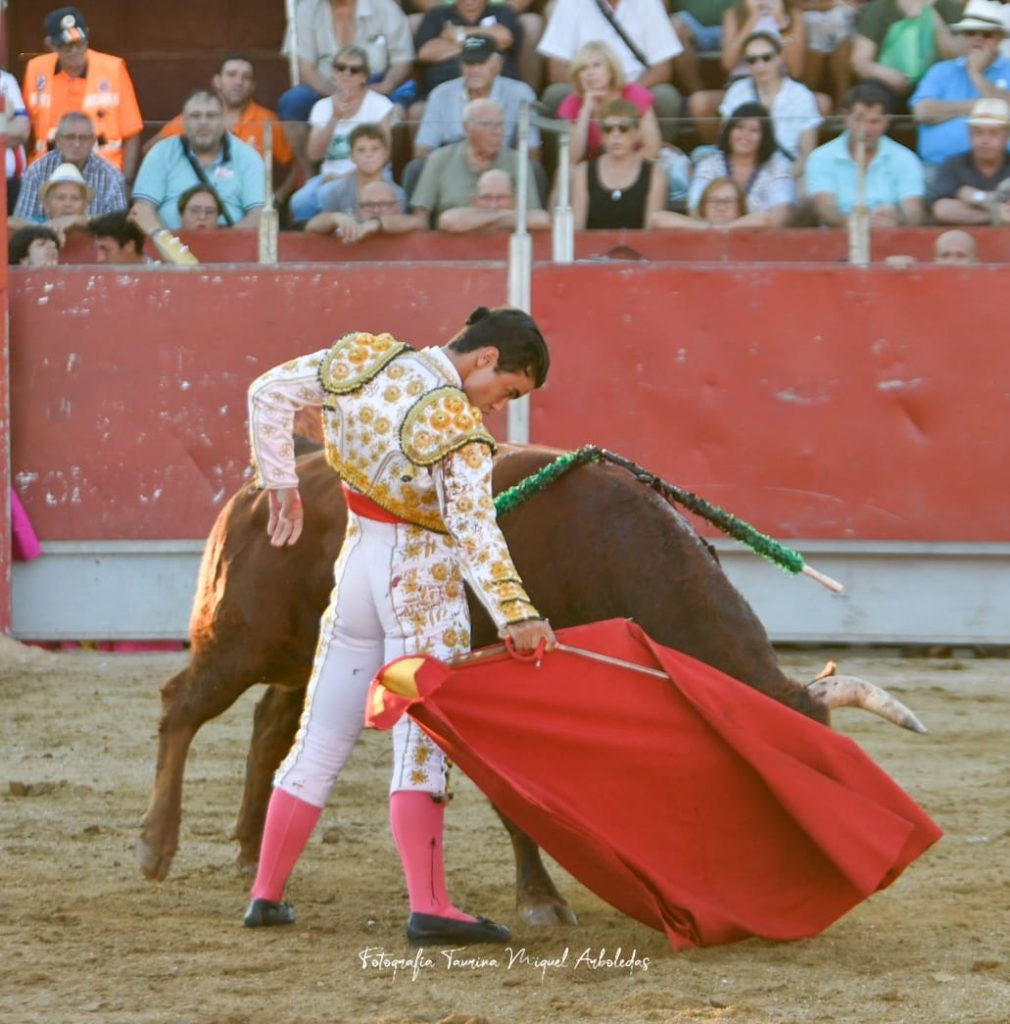 Almorox Novillada15 1010x1024 - Tristán Barroso y Víctor Cerrato, doble Puerta Grande con una buena novillada de Núñez de Tarifa en Almorox