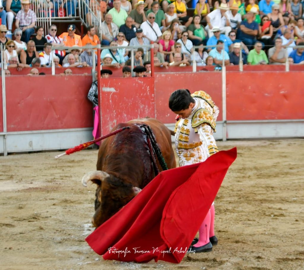 Almorox Novillada16 1024x910 - Tristán Barroso y Víctor Cerrato, doble Puerta Grande con una buena novillada de Núñez de Tarifa en Almorox