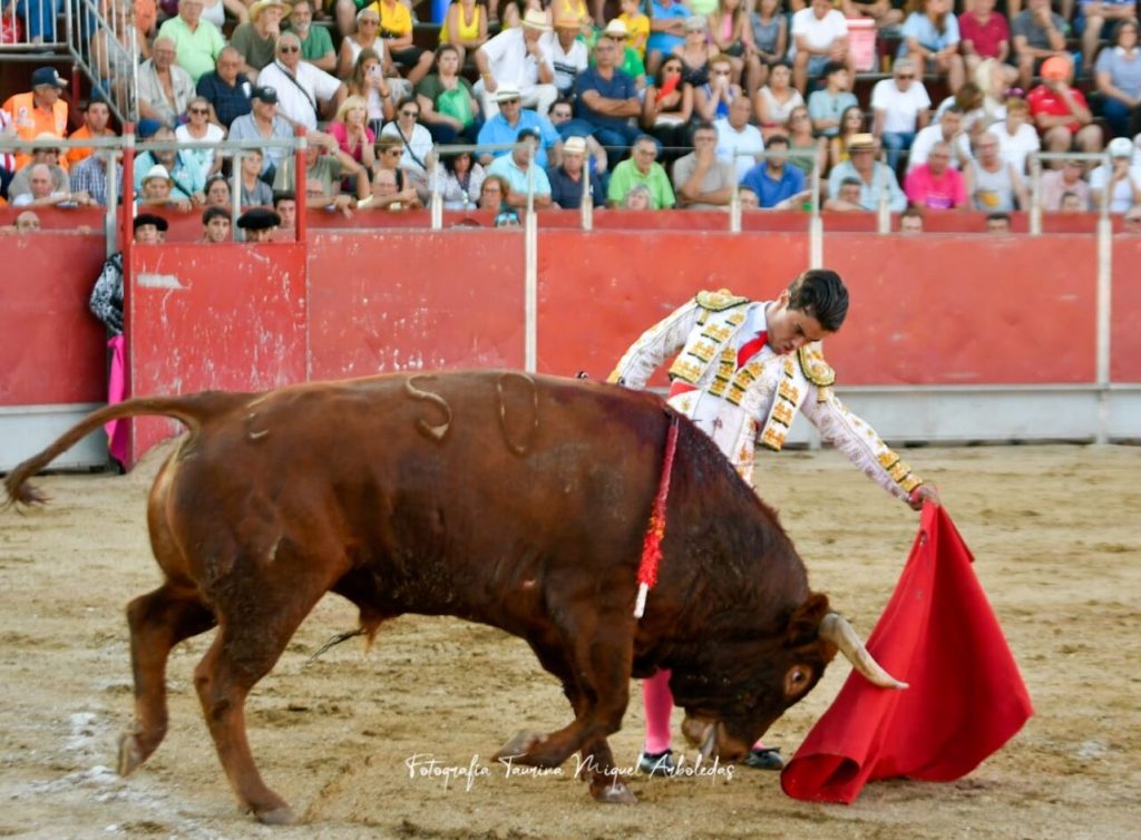 Almorox Novillada17 1024x754 - Tristán Barroso y Víctor Cerrato, doble Puerta Grande con una buena novillada de Núñez de Tarifa en Almorox