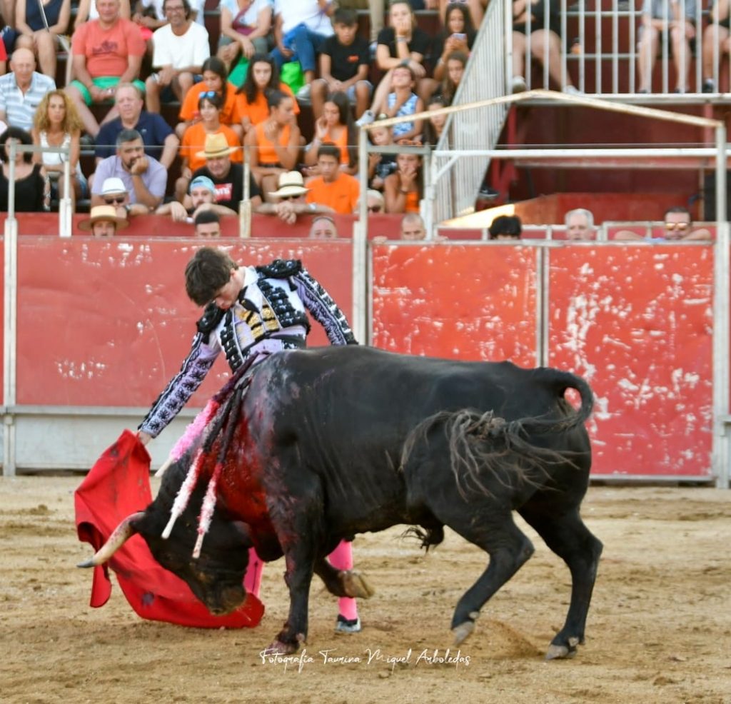 Almorox Novillada22 1024x986 - Tristán Barroso y Víctor Cerrato, doble Puerta Grande con una buena novillada de Núñez de Tarifa en Almorox