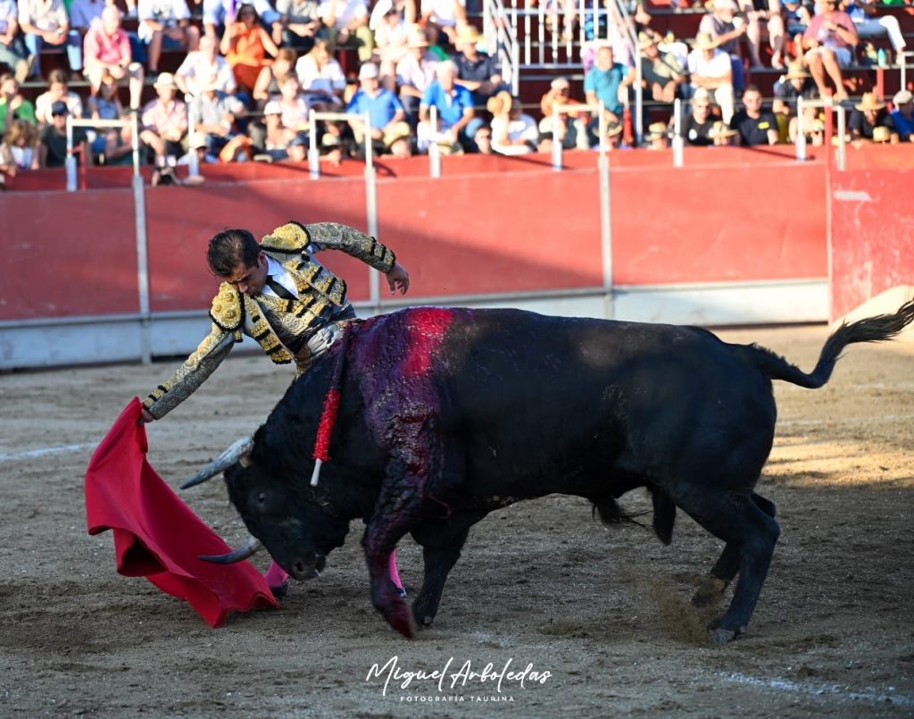 Almorox corrida10 1024x805 - Joaquín Galdós, única oreja ante un toro de vuelta de Campos Peña en Almorox