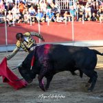 Almorox corrida10 150x150 - Roca Rey debutará en Melilla el 4 de septiembre