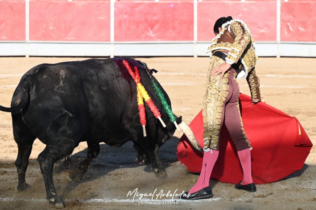 Almorox corrida5 1024x681 - Joaquín Galdós, única oreja ante un toro de vuelta de Campos Peña en Almorox