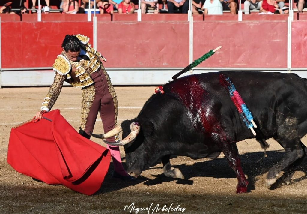 Almorox corrida8 1024x713 - Joaquín Galdós, única oreja ante un toro de vuelta de Campos Peña en Almorox