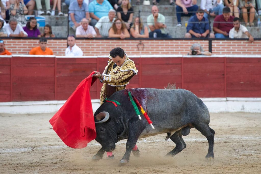 El Espinar 2023 18 1024x683 - Importante El Cid, dos orejas en El Espinar