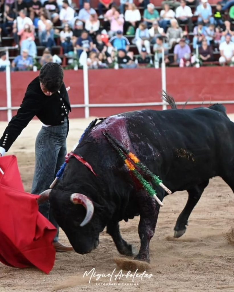 Hoyo de Pinares10 821x1024 - Javier Cortés, Jarocho y Julio Méndez, nombres propios en el festival de El Hoyo de Pinares