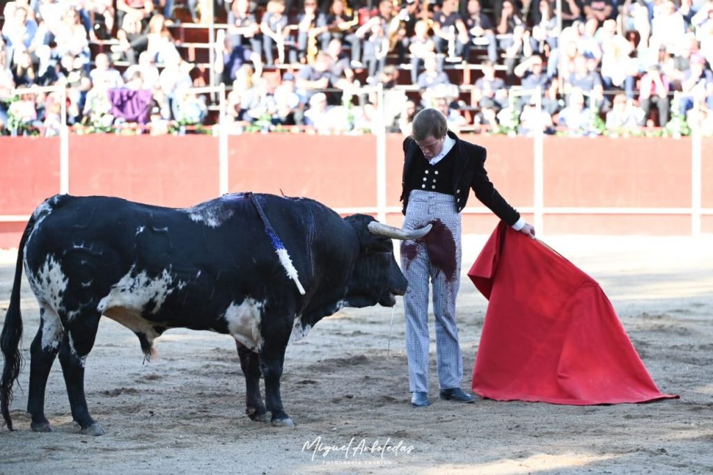 Hoyo de Pinares2 1024x683 - Javier Cortés, Jarocho y Julio Méndez, nombres propios en el festival de El Hoyo de Pinares