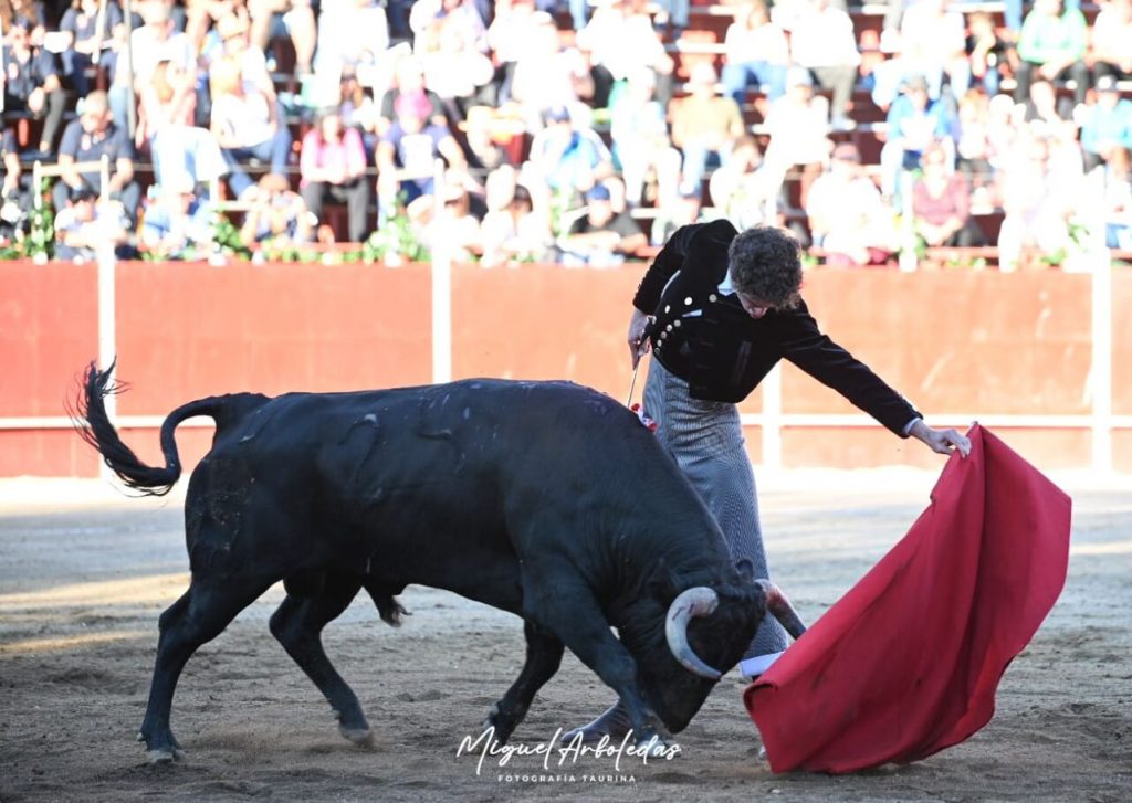 Hoyo de Pinares4 1024x727 - Javier Cortés, Jarocho y Julio Méndez, nombres propios en el festival de El Hoyo de Pinares