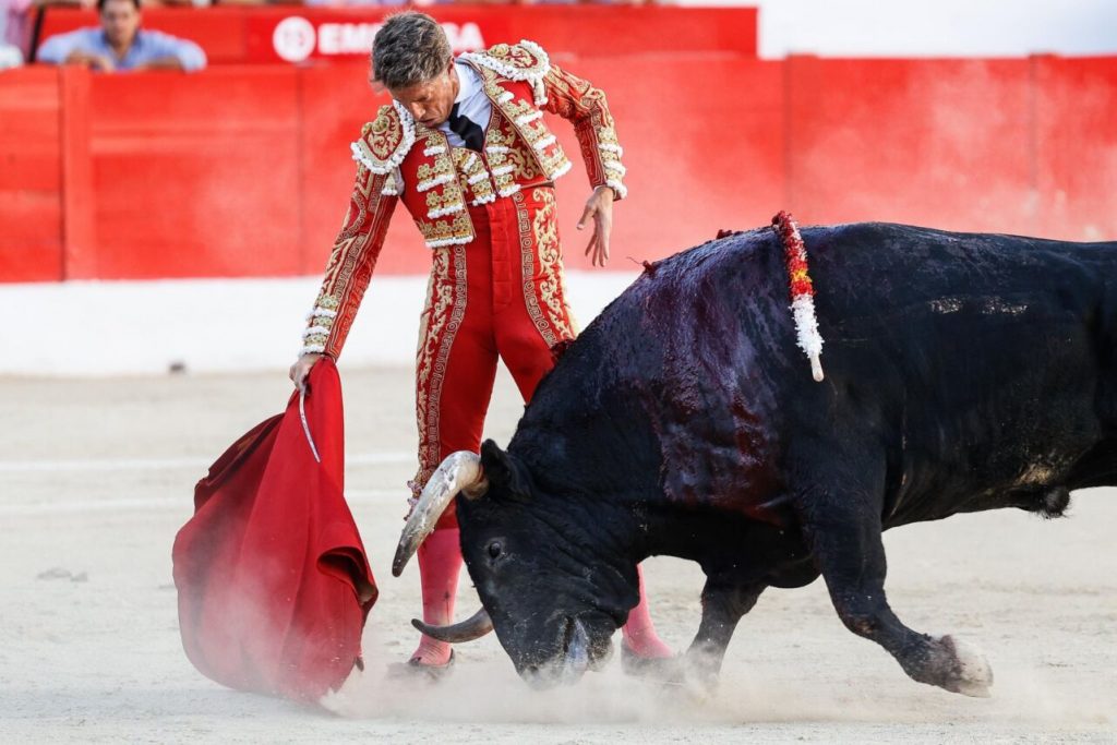 Melilla15 1024x683 - Manuel Escribano, Javier Cortés y Roca Rey, fiesta total en Melilla