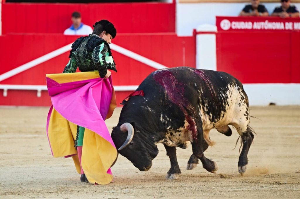 Melilla17 1024x682 - Manuel Escribano, Javier Cortés y Roca Rey, fiesta total en Melilla