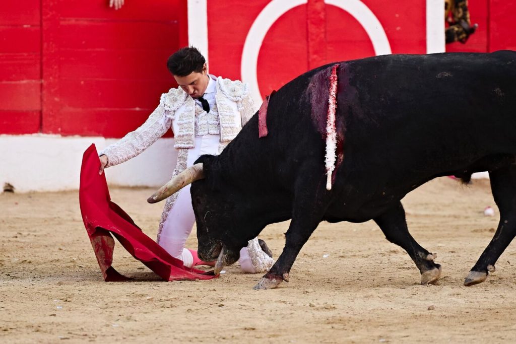 Melilla23 1024x683 - Manuel Escribano, Javier Cortés y Roca Rey, fiesta total en Melilla