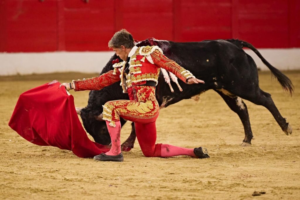 Melilla33 1024x682 - Manuel Escribano, Javier Cortés y Roca Rey, fiesta total en Melilla