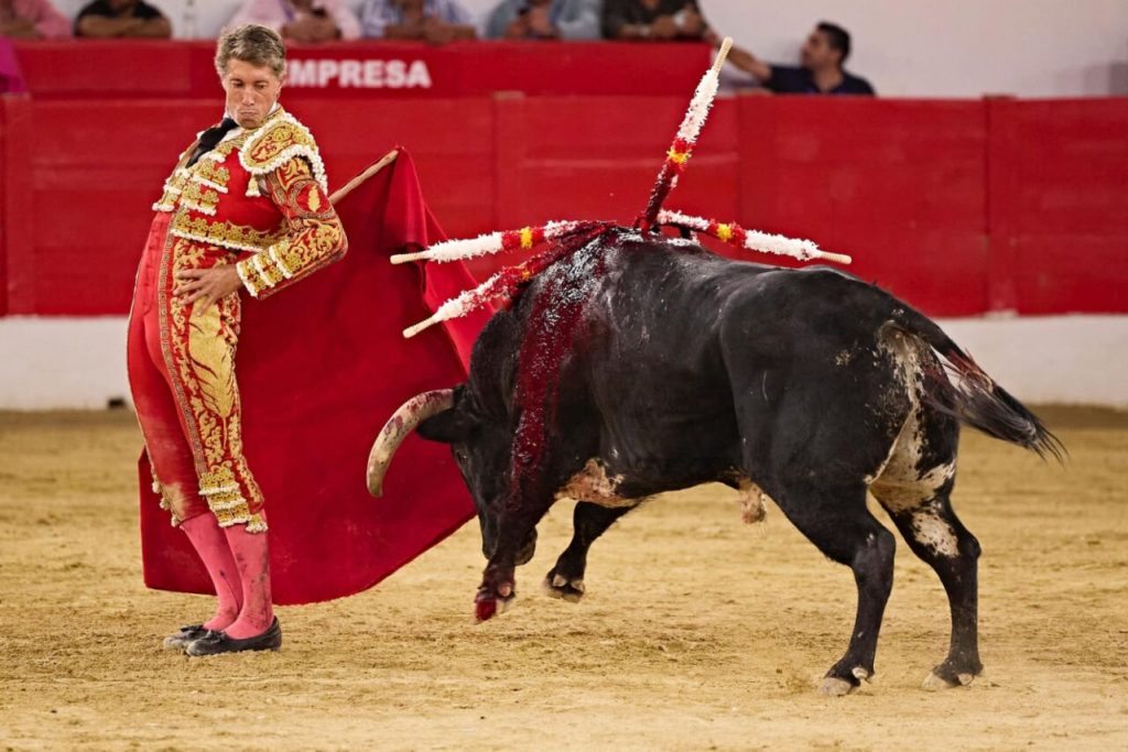 Melilla34 1024x683 - Manuel Escribano, Javier Cortés y Roca Rey, fiesta total en Melilla