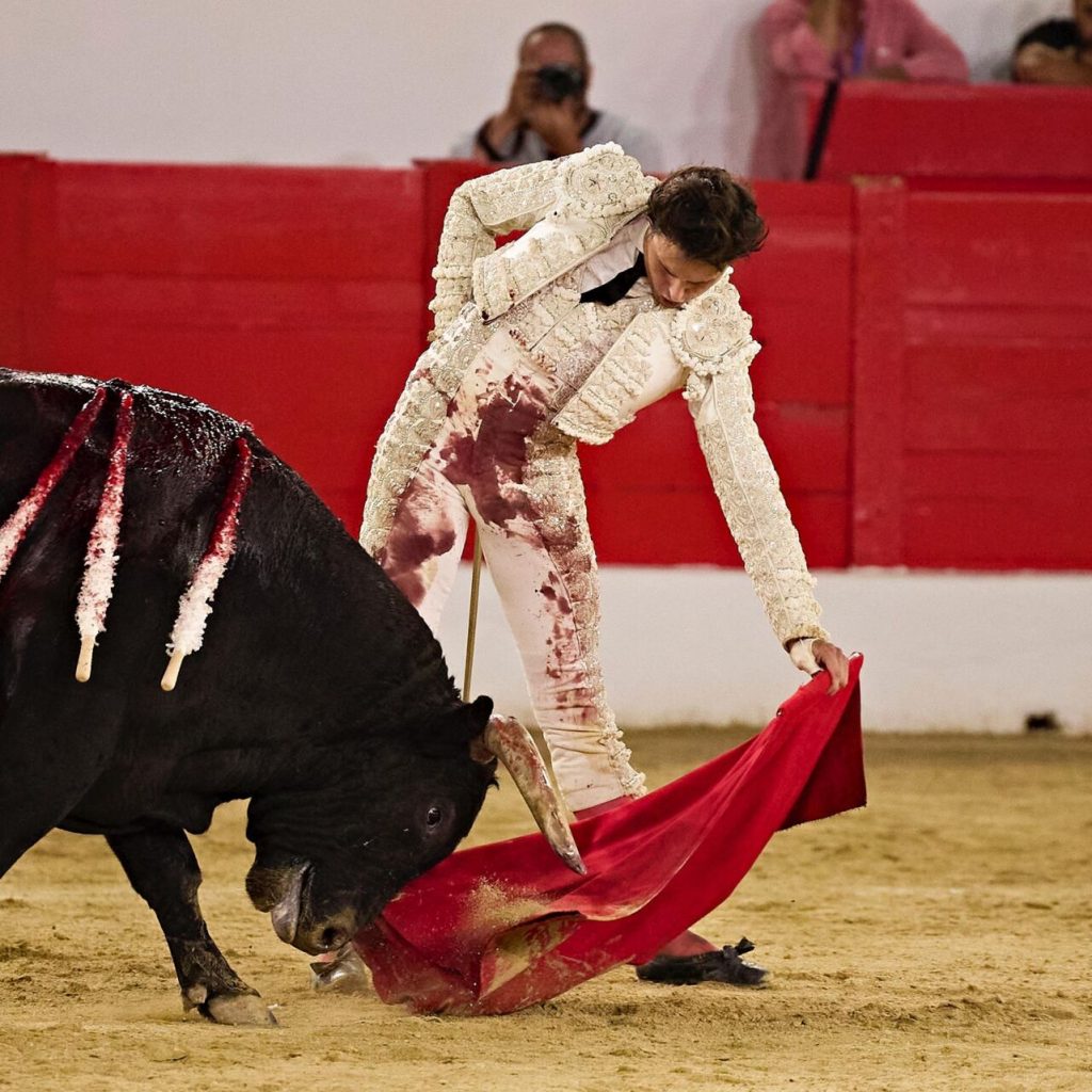 Melilla48 1024x1024 - Manuel Escribano, Javier Cortés y Roca Rey, fiesta total en Melilla