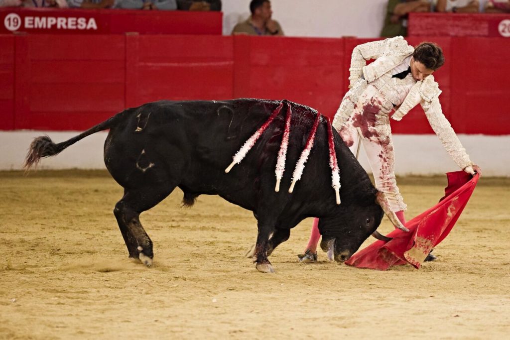 Melilla49 1024x683 - Manuel Escribano, Javier Cortés y Roca Rey, fiesta total en Melilla