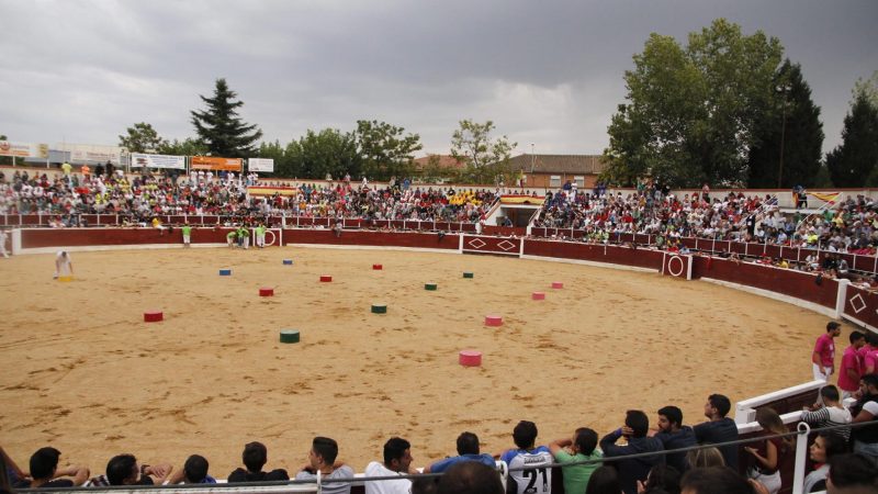 Pasión por los toros en Nava de la Asunción