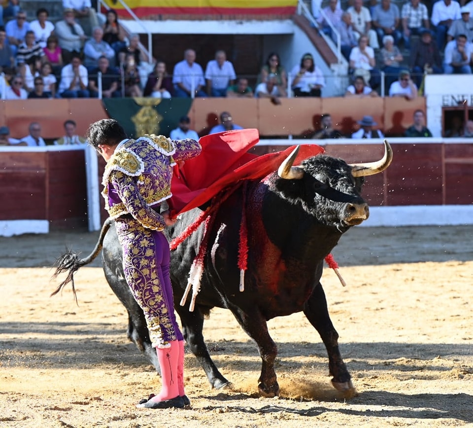 NavadelaAsuncion5 - Una gran faena de Javier Cortés en Nava de la Asunción, a hombros con Joselito Adame y Sergio Pérez de Gregorio